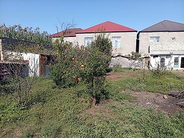 qusar tap az: Maştagada kanal market yaxınlığında əsas yoldan 150 metir içəridə — 2