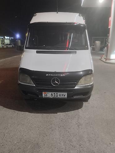 короткий спринтер: Mercedes-Benz Спринтер: 2001 г., 2.9 л, Механика, Дизель, Бус — 8