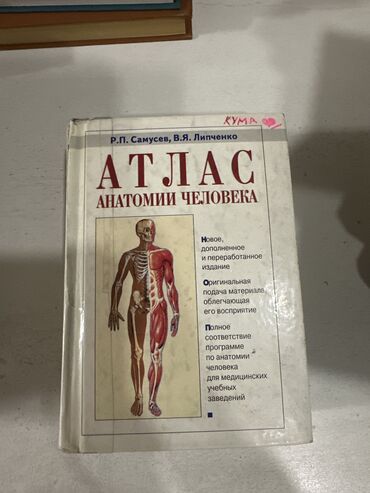 алхимик книга: Анатомия человека. Подойдет для 1курса леч.факультета и также для