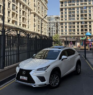 срочное продажа авто: Lexus NX: 2019 г., 2 л, Автоматические, Бензин, Кроссовер