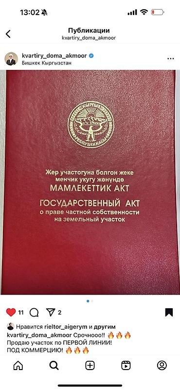 государство: 2330 соток, Для бизнеса, Красная книга — 2