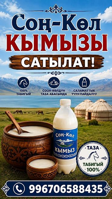 кобыла: Кымыз, саамал, В розницу, Бесплатная доставка — 1
