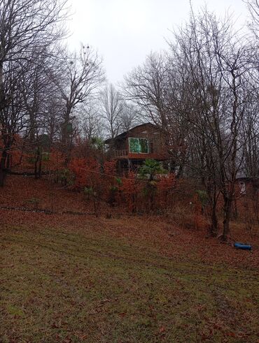 Restoran, kafelər: Masalli İsti su yaxin. 3 hektar ərazi 7 katej 6 bisetka. Tam islek -da lalafo.az — 7 Restoran, kafelər: Masalli İsti su yaxin. 3 hektar ərazi 7 katej 6 bisetka. Tam islek — 7
