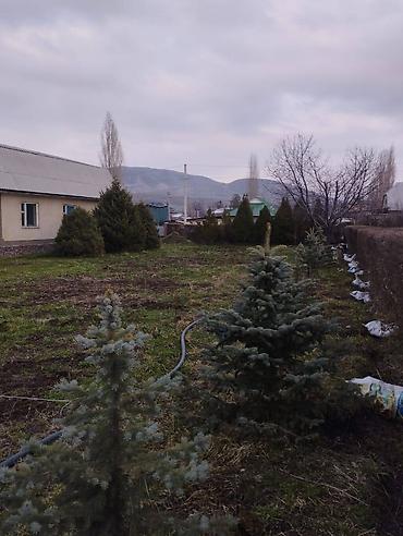 Продажа участков: 13 соток — 5