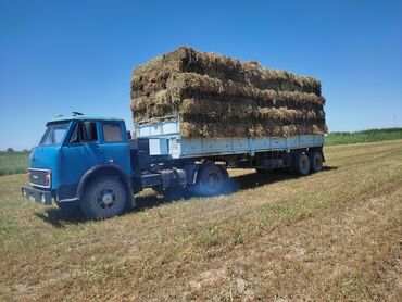 транс: Грузоперевозки по жайылскому раёну, вес груза до 16000кг, тюки 415