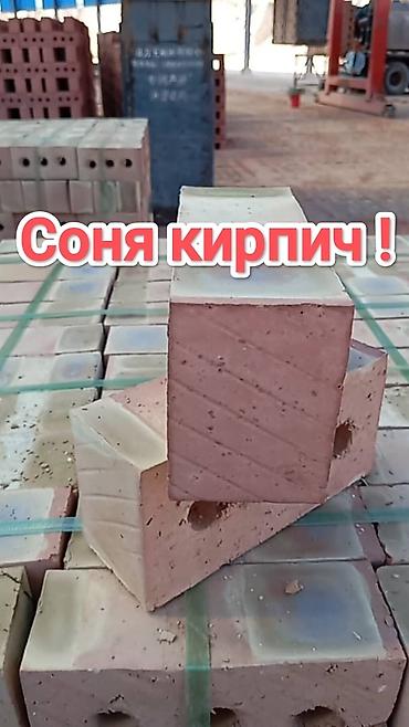 Тешиктүү, Бышкан кирпич, Жарым блок, 250×120×90