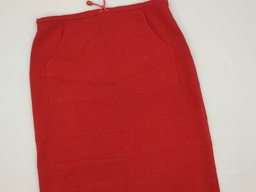 Жіночий одяг: Спідниця жіноча, Tulle, розмір S