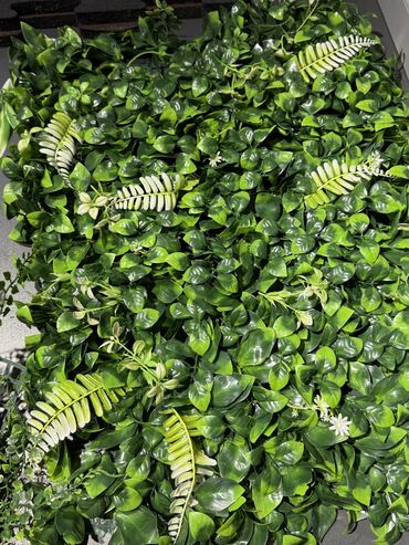 Süni güllər: Dekorlarin topdan ve perekende satisi — 6