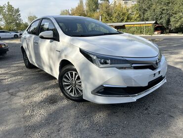 Toyota: Toyota Corolla: 2019 г., 1.8 л, Автомат, Гибрид