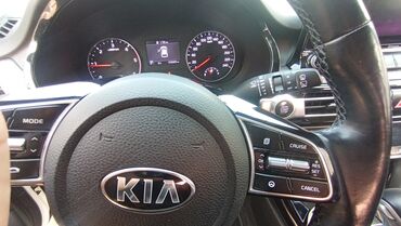 Kia: Kia Seltos: 2020 г., 1.6 л, Вариатор, Дизель, Кроссовер — 12