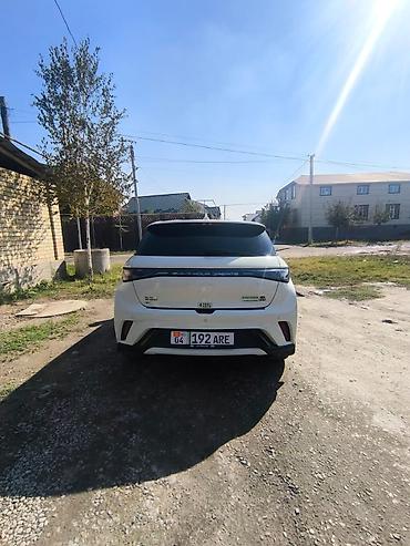 BYD: BYD Dolphin: 2023 г., Автомат, Электромобиль, Хэтчбэк — 10