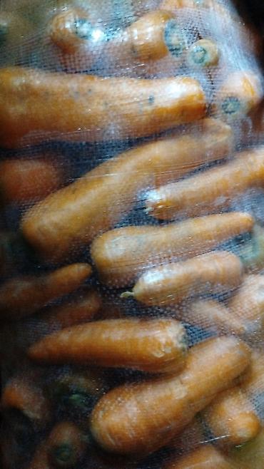 Лук: Лук Оптом, Бесплатная доставка — 4