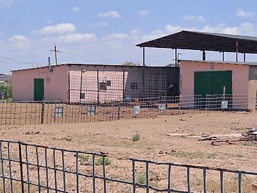 fermaya: Haciqabulda ferma satılır.15 hektar.350kv.tikili.kənd tədərrüfatı — 4