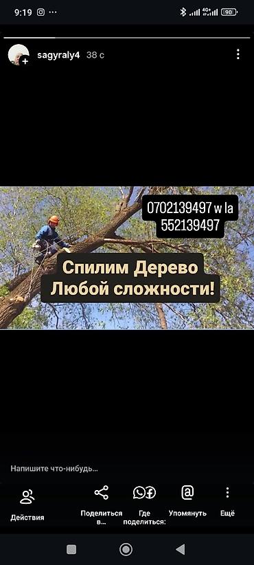 дров: Услуги по спилу деревьев любой сложности. - Аварийный и плановый спил — 1