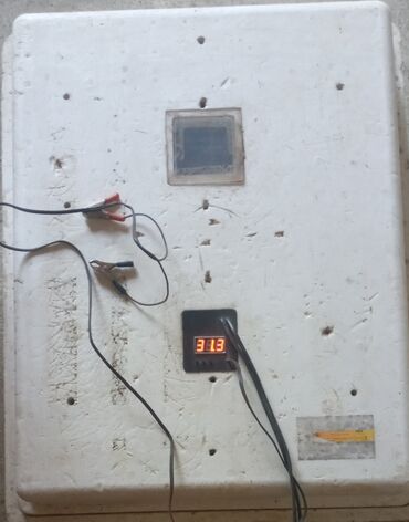 Доильные аппараты: Termostatlı, ağ rəngli penoplast yumurta inkubatoru. Bu inkubator