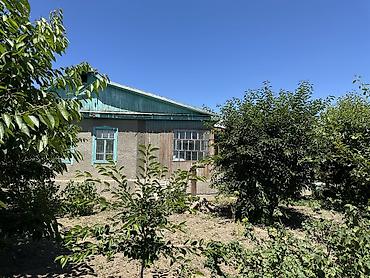 комнатные растения бишкек фото: 🏡 Продается уютный дом с плодоносящим участком в центре курортного — 2