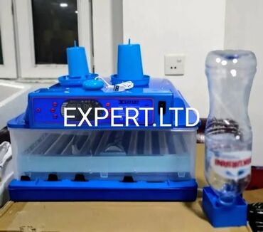 Toyuqlar: Toyuq, Yumurtalıq, Ünvandan götürmə, Ödənişli çatdırılma, Rayonlara çatdırılma — 2