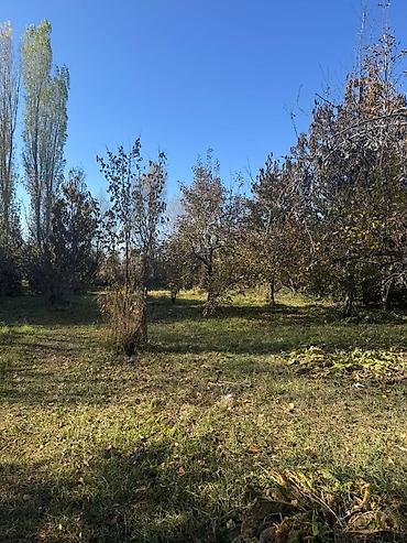 сдам 1 комнатную квартиру в аламедин 1: 4 комнаты, 74 м², 10 соток, Ананьево — 5
