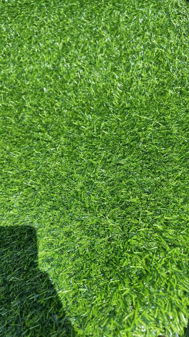 Toxumlar: 9 azn baslayan qiymetler Suni qazonlarin topdan satisi Suni qazon — 2