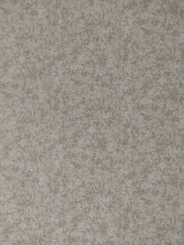 Штукатурка, шпаклевка: Шпаклевка стен, Штукатурка стен Больше 6 лет опыта — 4