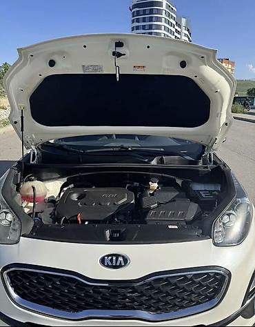 kia rio 2022: Kia Sportage: 2021 г., Бензин — 5
