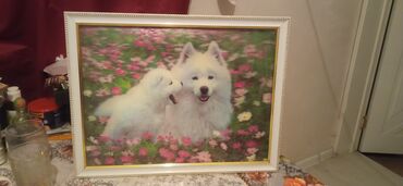 Təmir və tikinti: Ağ rəngli çərçivədə çərçivələnmiş Samoyed itlərinin təsvir olunduğu