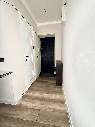 Продажа квартир: 2 комнаты, 47 м², Индивидуалка, 4 этаж, Евроремонт — 4