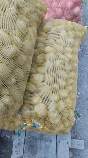 продаю овец: Продаю картошку семеной на корм есть три тонна находится в Кара балта