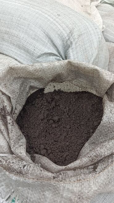 Torf: Torf gubresinn satişi torf balaken 2.50 300den cox alana catrlma -da lalafo.az — 12 Torf: Torf gubresinn satişi torf balaken 2.50 300den cox alana catrlma — 12