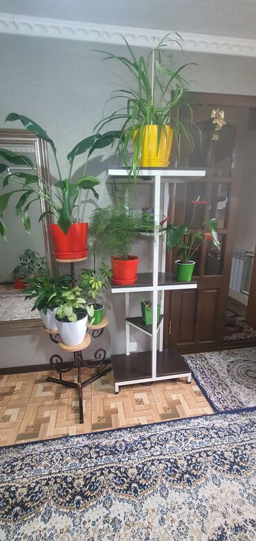 Декоративные цветы: Гүл койгучтар сатылат.биринчи ярус 52см,экинчи ярус 1м05см. баасы — 12