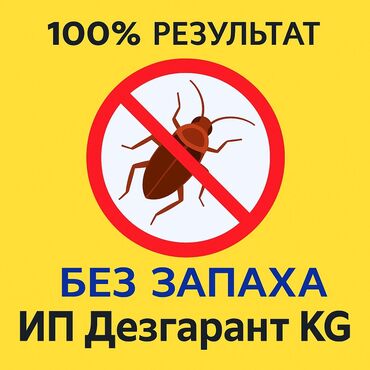 уничтожение клопов и тараканов: Дезинфекциялоо, дезинсекциялоо, | Канталалар, Бүргөлөр, Таракандар, | Транспорт, Офистер, Батирлер