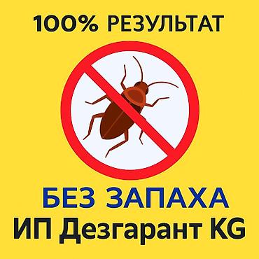 Клининговые услуги: Дезинфекция, дезинсекция, | Мыши и крысы, Тараканы, Блохи, | Транспорт, Дома, Кафе, магазины — 1