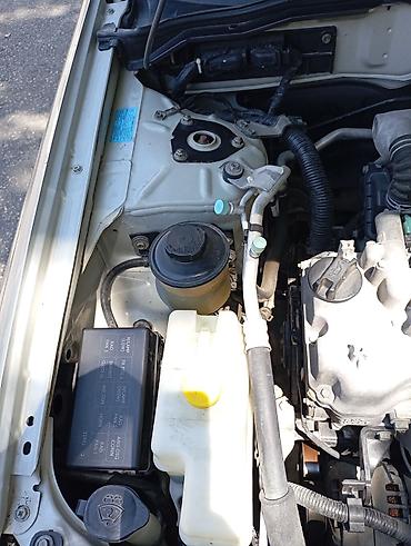 nissan note mini: Nissan Sunny: 1.6 l | 2008 il Sedan — 9
