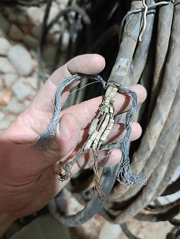 Другая бытовая техника: Удлинитель красный качественный без розеток 3х жильный 14м at lalafo.kg — 10 Другая бытовая техника: Удлинитель красный качественный без розеток 3х жильный 14м — 10