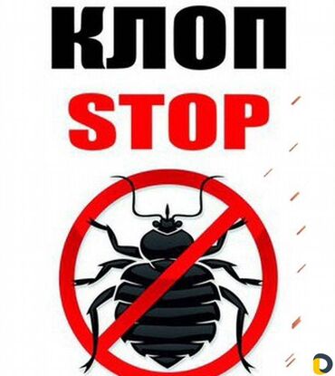 Дезинфекция, дезинсекция: Дезинфекция, дезинсекция, | Клопы, Блохи, Тараканы, | Транспорт, Офисы, Квартиры — 14