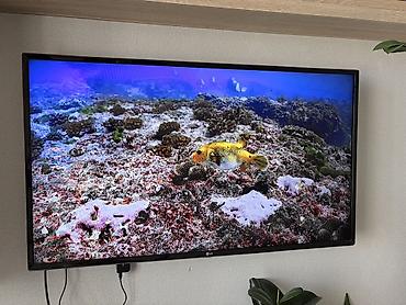Телевизор LG, диагональ примерно 43–50". Тонкие рамки, настенное