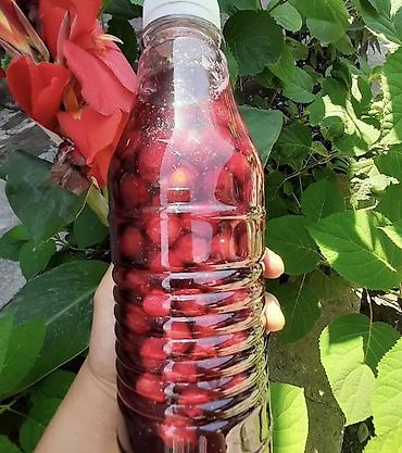 Малина: Малина В розницу — 4