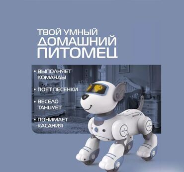 танцующий кактус купить бишкек: Радиоуправляемый робот-собака, Интеллектуальная игрушка Щенок Дружок