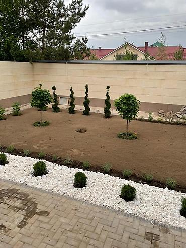 Другие услуги: Мы занимаемся созданием газонов на придомовой территории. Этот процесс — 9