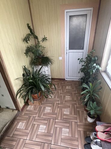 купить участок для строительства дома: Дача, 100 м², 5 комнат, Собственник, Евроремонт