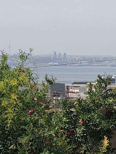 Torpaq sahələrinin satışı: 3 sot, Tikinti, Mülkiyyətçi, Kupça (Çıxarış) -da lalafo.az — 14 Torpaq sahələrinin satışı: 3 sot, Tikinti, Mülkiyyətçi, Kupça (Çıxarış) — 14