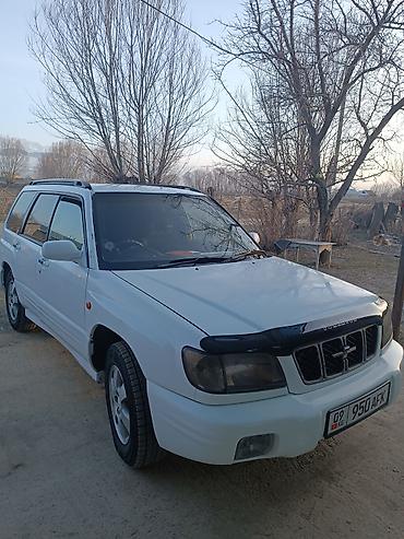 Subaru: Subaru Forester: 2001 г., 2 л, Автомат, Бензин, Универсал — 1