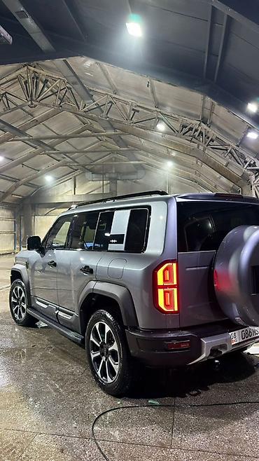 BAW: BAW : 2025 г., Внедорожник — 4