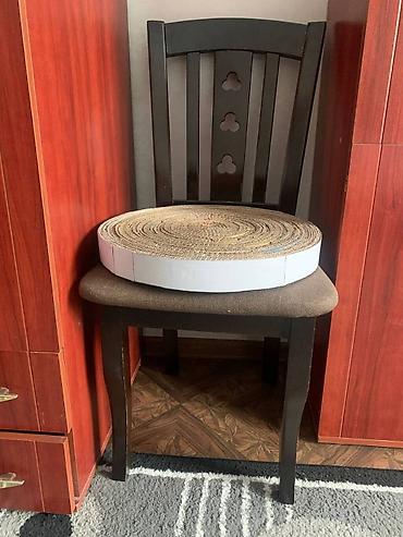 Зоотовары: Зачем кошке когтеточка? Первая причина — это гигиена, А — 2