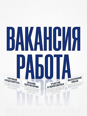 фото 3 на 4: Вакансия: Торговый представитель для бытовая химия Основные задачи — 1