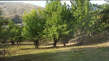 ismayilli torpag: 6 sot, Tikinti, Mülkiyyətçi, Kupça (Çıxarış) — 2