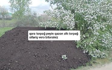 Bitki torpaqları: 070-915-99-05 - Meşə torpağı, qara torpaq və qazon altı torpaq. - — 3