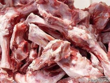 цена мяса кролика: Говяжий кости в любом объеме, свежий и есть замороженные Уй сооктору
