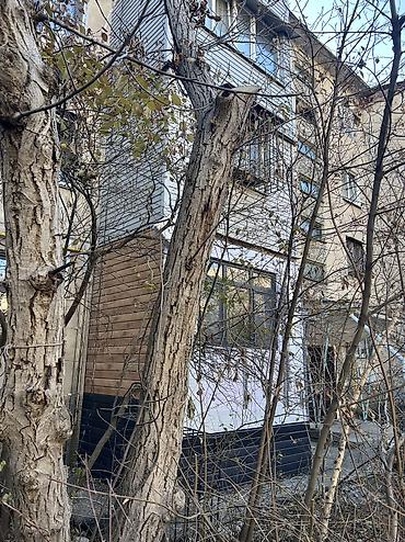 Утепление: Предлагается пристройка к зданию, выполненная из сайдинга различных — 20