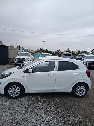 Kia: Kia Picanto: 2019 г., 0.1 л, Автомат, Бензин, Хэтчбэк — 4